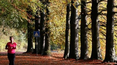 Кога да тренираме през деня?