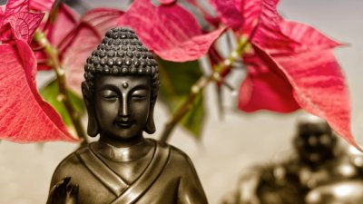 Мисъл на деня от Далай Лама