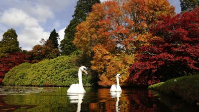 Любовни есенни рими – 25-а част