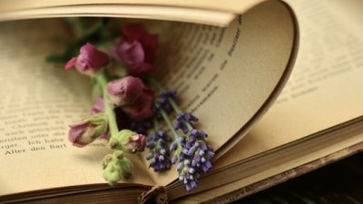 Мисъл на деня... за споделеното щастие