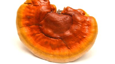 Невероятните ползи от гъбата рейши 