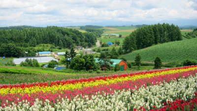 Какво ни казват цветята