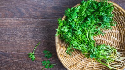 3 ползи за здравето от пресния кориандър 