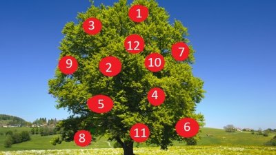 Тест: Дървото на желанията