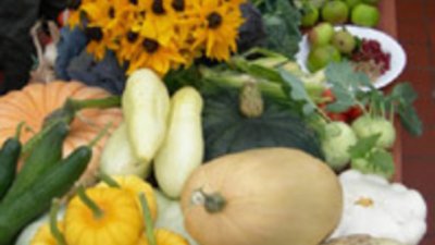 Хранене през есента