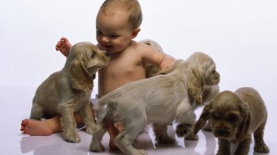 Видео на седмицата: Кучета и бебета се забавляват заедно