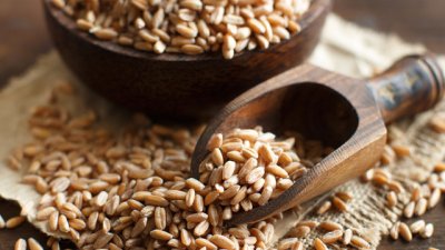 Здравословни ползи от спелтата 