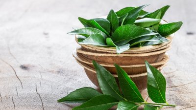 Грижа за косата с листа от къри 