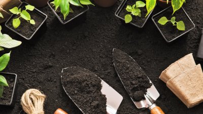 5 стъпки за подготовка на градината за пролетта 