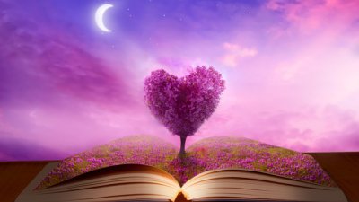 Притча за ранимите хора