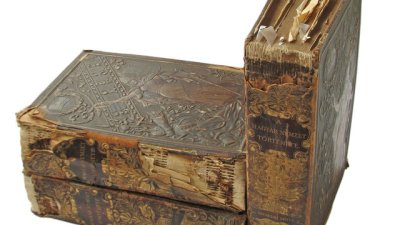 Мисъл на деня