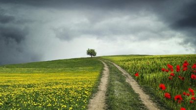 Мисъл на деня за... света