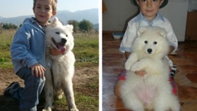 Детето иска домашен любимец &ndash; а вие?