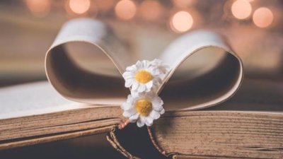 Мисъл на деня за... обидата