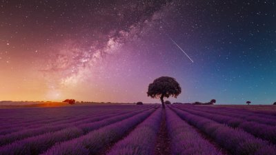 4 зодии, за които юли ще е фантастичен