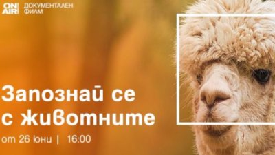 „Запознай се с животните“ е новата поредица в ефира на Bulgaria ON AIR
