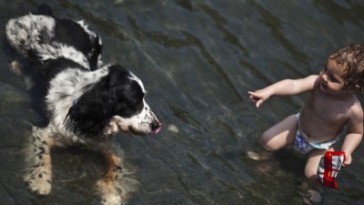 Какъв домашен любимец е най-подходящ за децата?