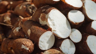 Тапиока и здравословните й ползи 