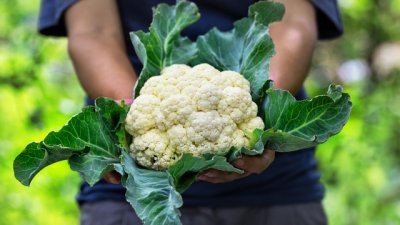 Суров или сготвен карфиол – кой вариант е по-полезен?