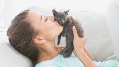 7 причини защо котката ви е по-добра от партньора 