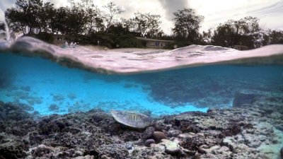 Знаете ли, че... Големият бариерен риф се вижда от Космоса? (галерия)