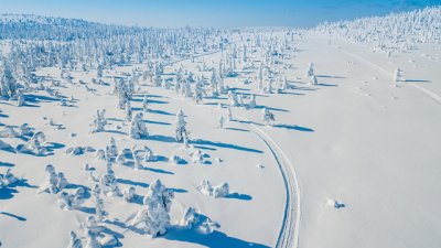 Лапландия – земя на ледената красота 