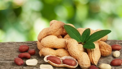 Хапвайте фъстъци за добра памет и настроение