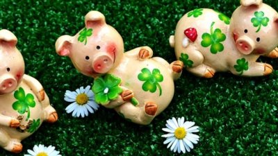 Кои са щастливите символи, подходящи за дома ни? 