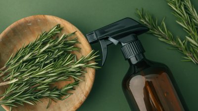 Отървете се от комарите с розмарин