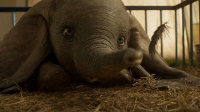 Спечелете награди в играта „Моят Дъмбо“