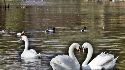 Може ли да живеете с мъж, когото не обичате?