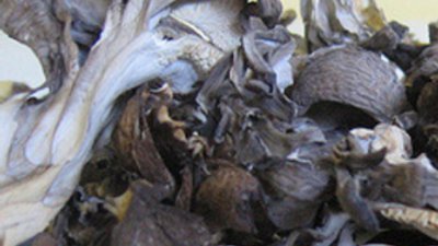 Японски гъби помагат за отслабване