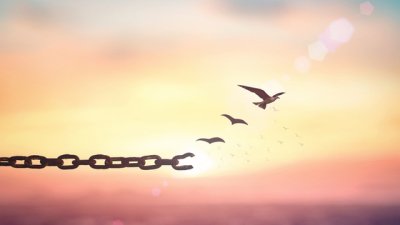 Ако започвах живота си отначало