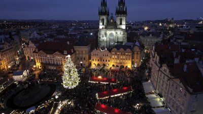 Най-красивите коледни дървета по света (галерия)
