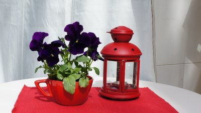 Честит имен ден на Екатерина, Катрин и Катя