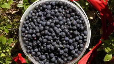 Бабини лекарства с дарове от природата