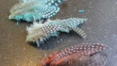 Красива идея за шноли с пера