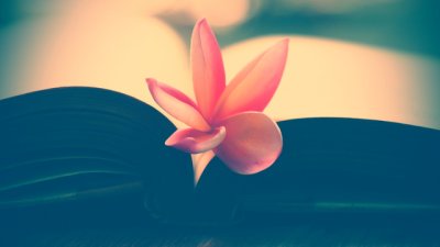 Мъдрост на деня от Конфуций