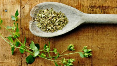 5 мощни билки, борещи се с рака 