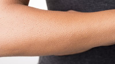 Малко познати, но интересни факти за рефлексите 