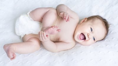 Някои митове за пелените – развенчани