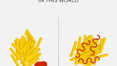 Кои са двата основни типа хора? (галерия)