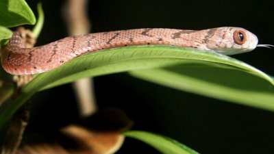 7 от най-опасните места в света