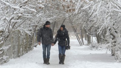 Интересни акценти от ТВ програмата на 30 и 31 декември