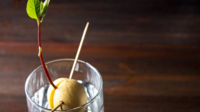 Как да си отгледаме авокадо вкъщи?