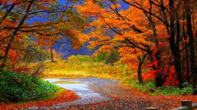 Тест: Какво ще ви донесе есента?