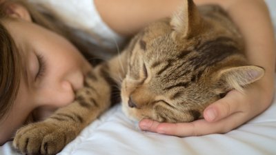 Здравословни причини да не спите с домашния си любимец 