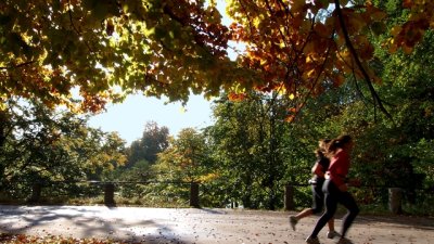 Как да се мотивираме да започнем спорт или фитнес?