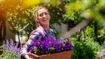 Кои цветя са най-подходящи за засаждане през пролетта?