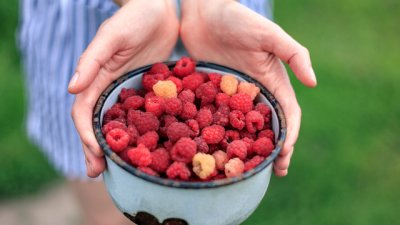 13 ползи за здравето от малините